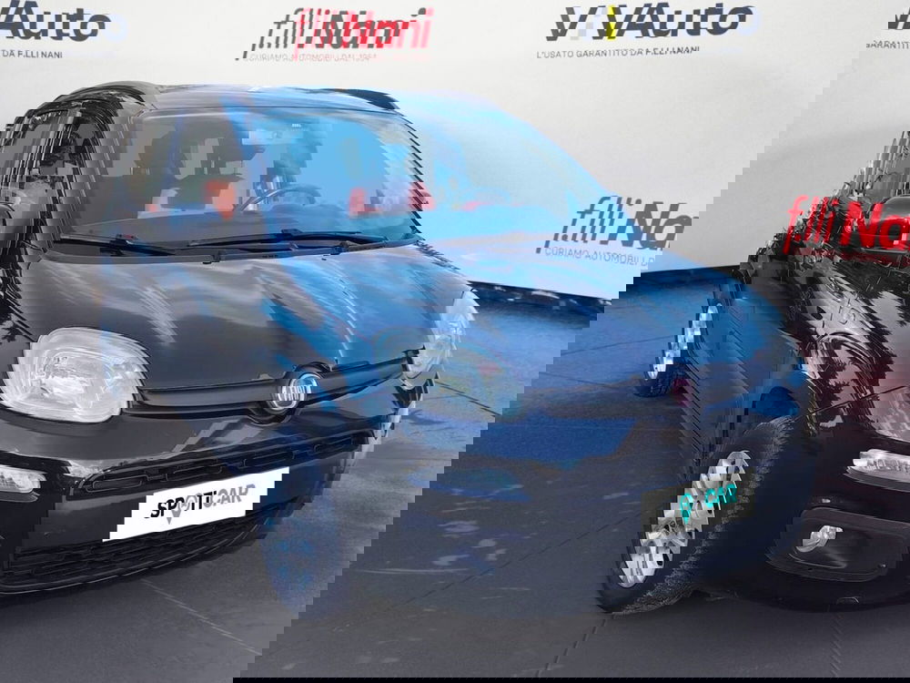 Fiat Panda usata a Massa-Carrara (16)