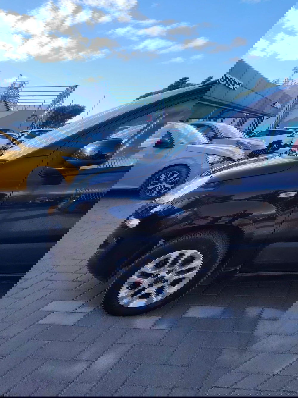 Fiat Panda usata a Massa-Carrara (17)