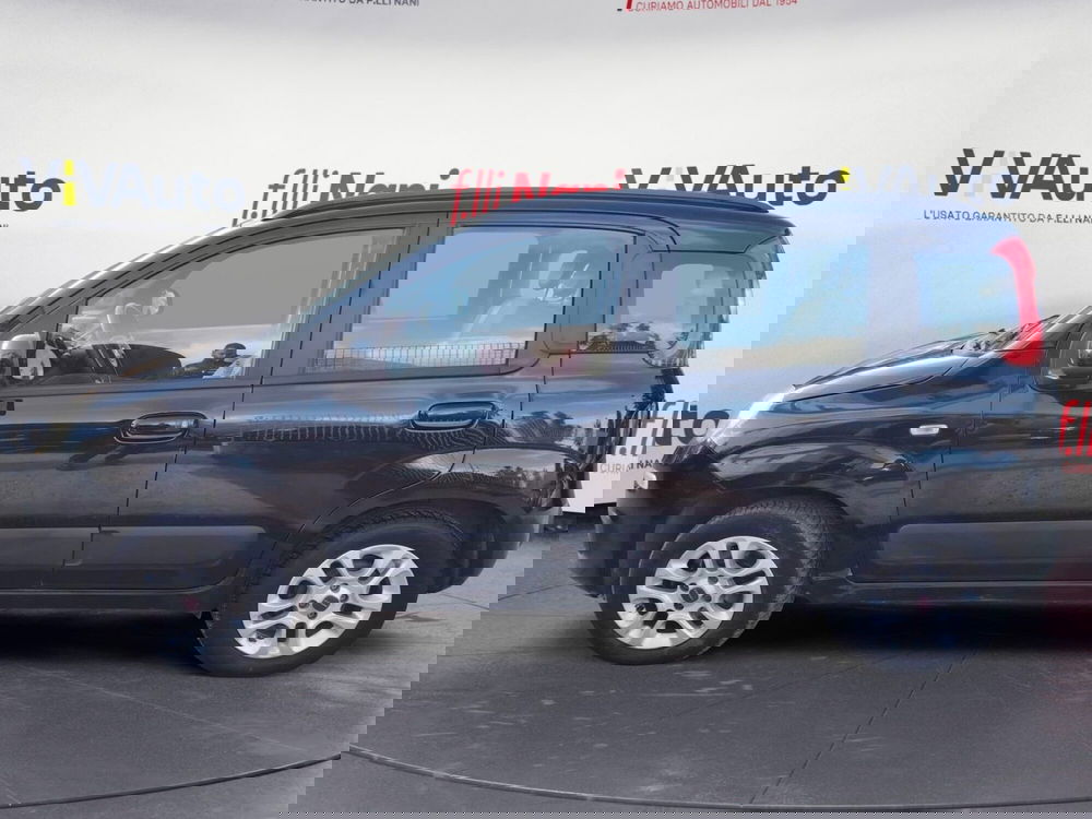 Fiat Panda usata a Massa-Carrara (7)