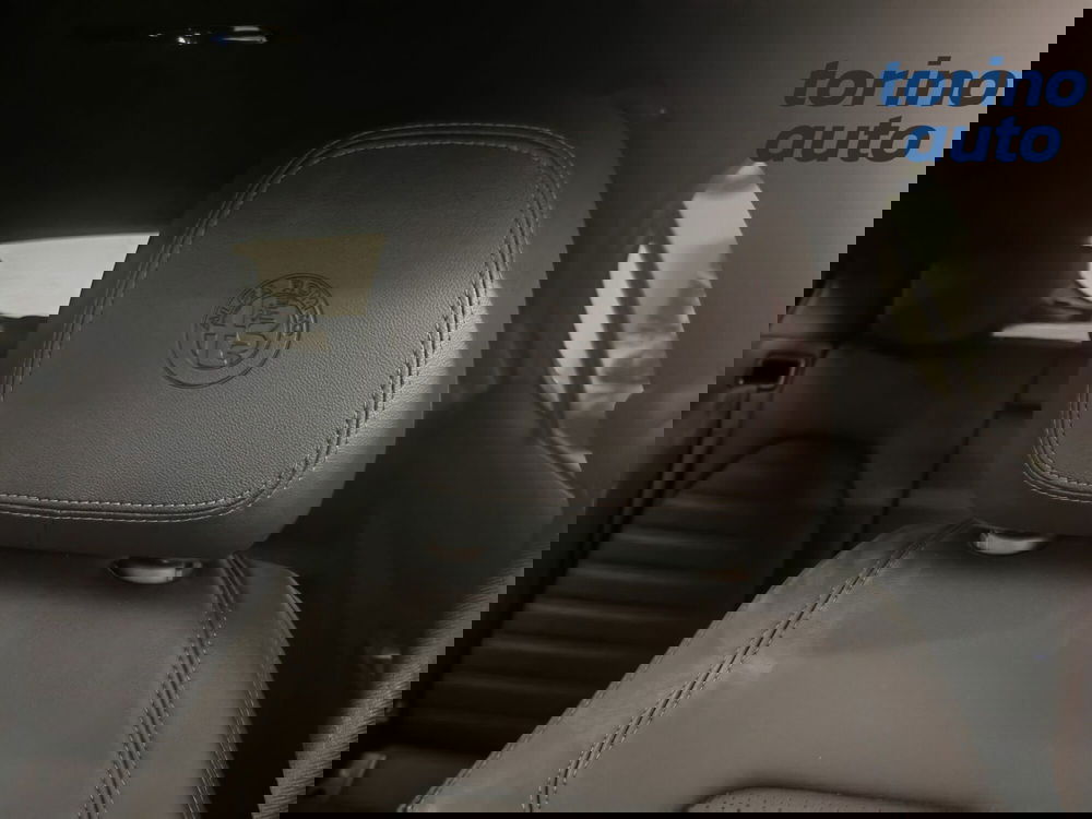 Alfa Romeo Stelvio usata a Torino (9)