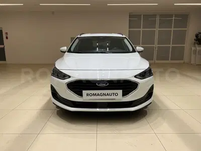 Ford Focus Station Wagon 1.5 EcoBlue 120 CV automatico SW Business del 2022 usata a Forli'