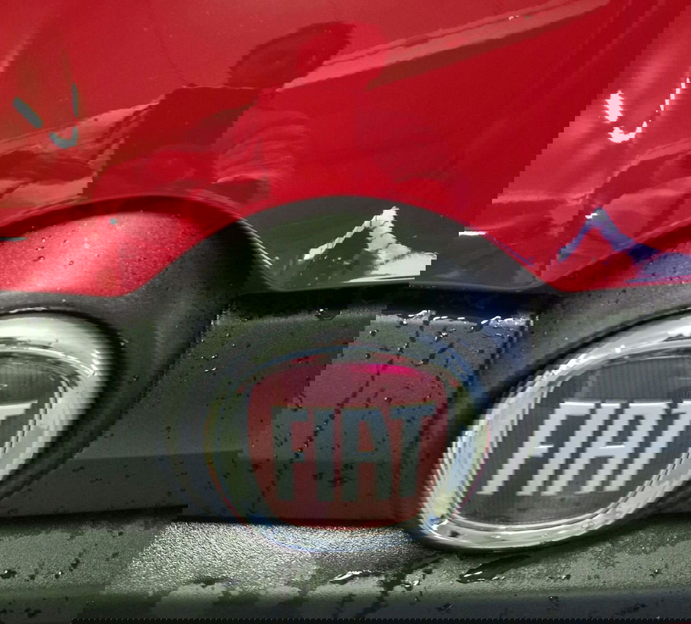 Fiat Pandina usata a Terni (20)