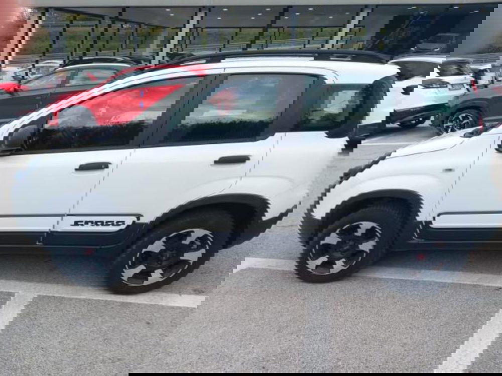 Fiat Panda Cross usata a Ancona (4)