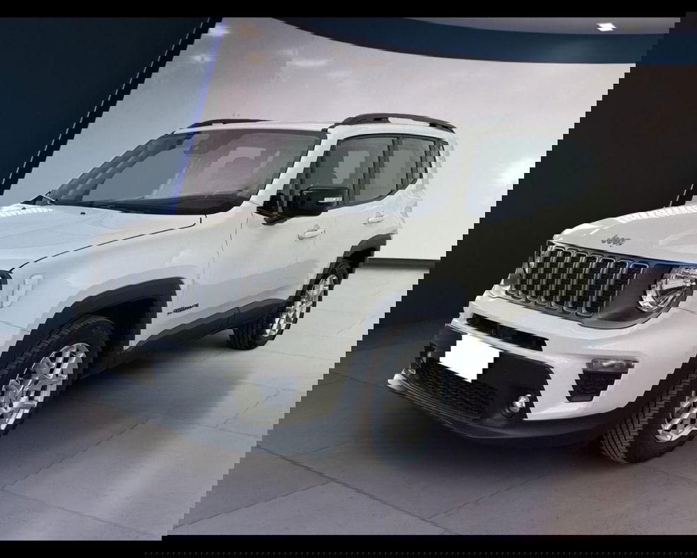 Jeep Renegade usata a Torino (3)