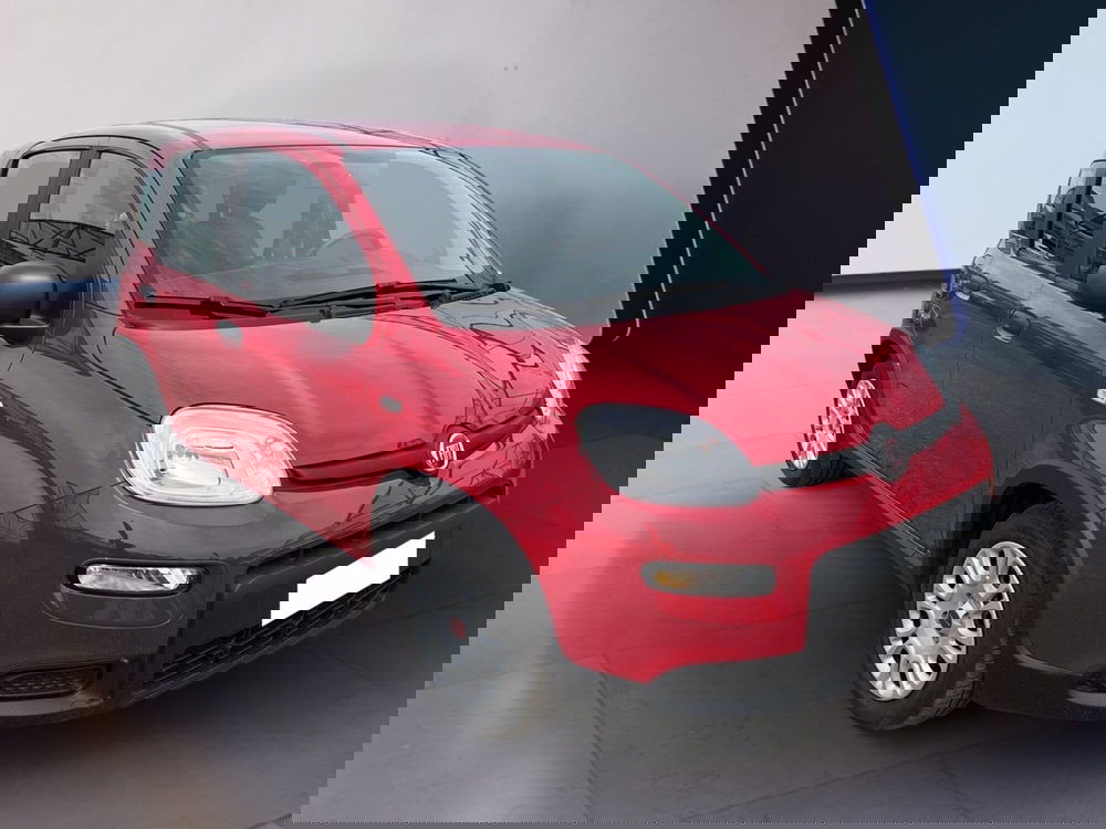 Fiat Panda usata a Torino (3)