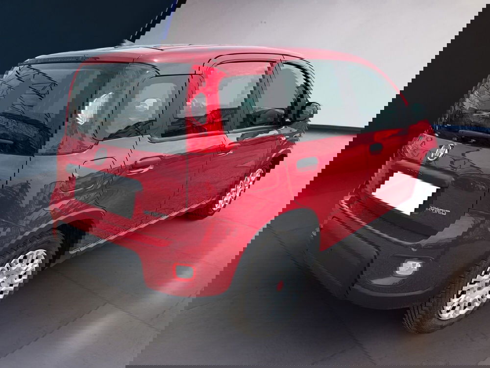 Fiat Panda usata a Torino (4)