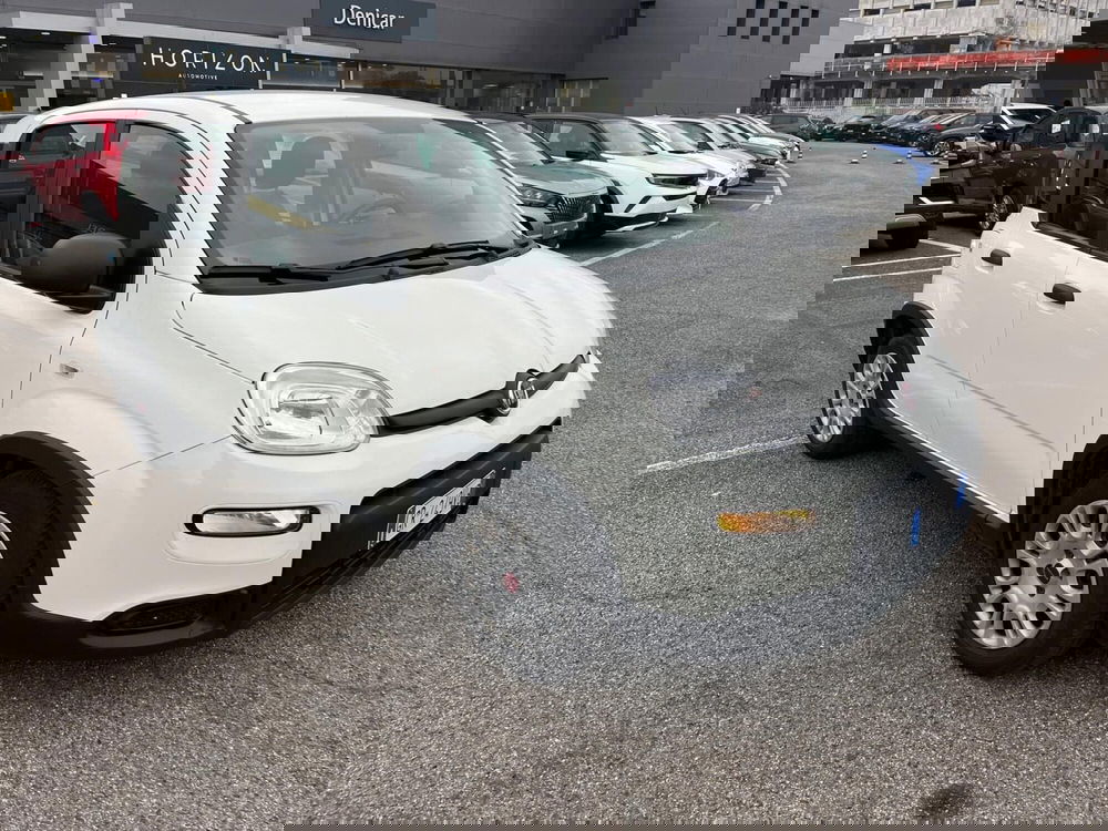 Fiat Panda Cross usata a Milano (3)