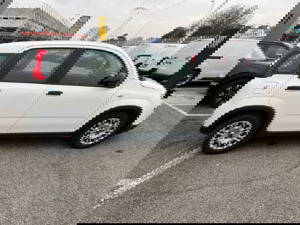 Fiat Panda Cross usata a Milano (4)