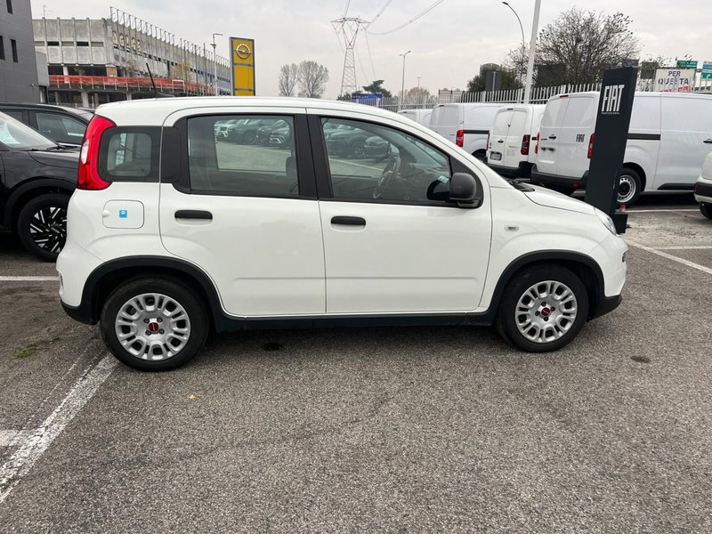 Fiat Panda Cross usata a Milano (4)