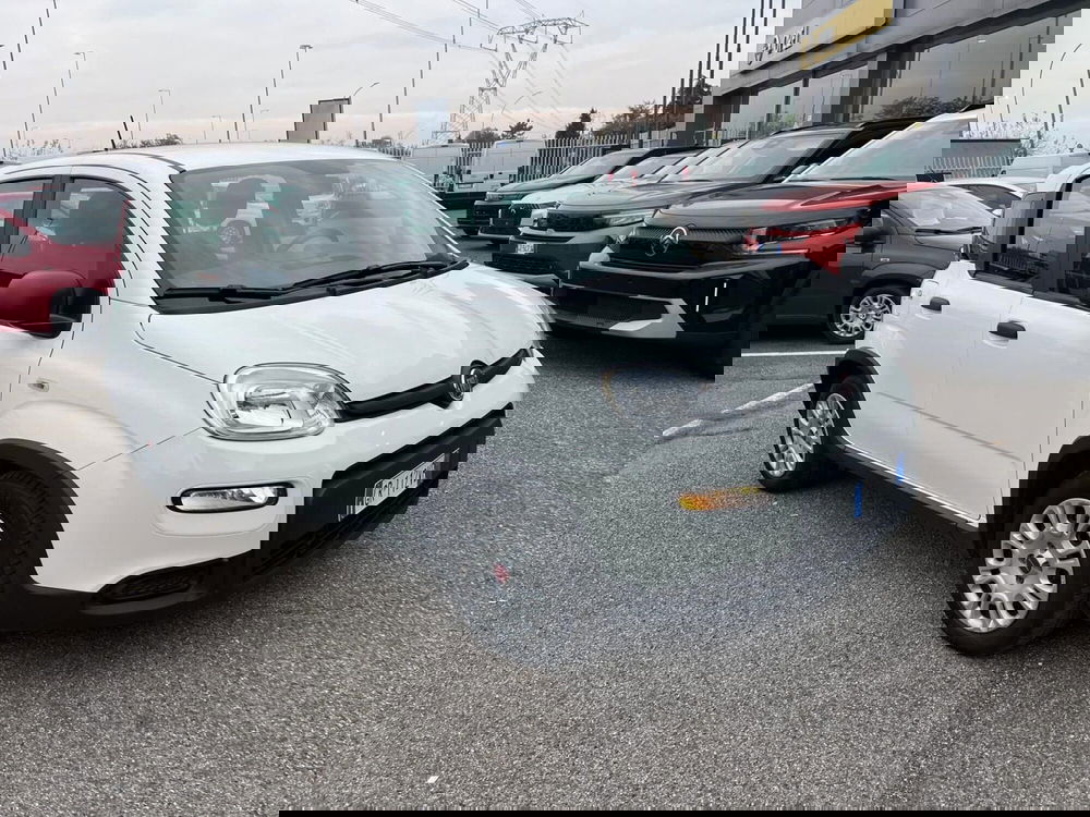 Fiat Panda Cross usata a Milano (3)