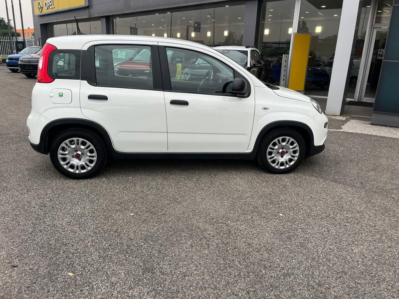 Fiat Panda Cross usata a Milano (4)