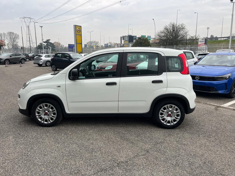 Fiat Panda Cross usata a Milano (5)