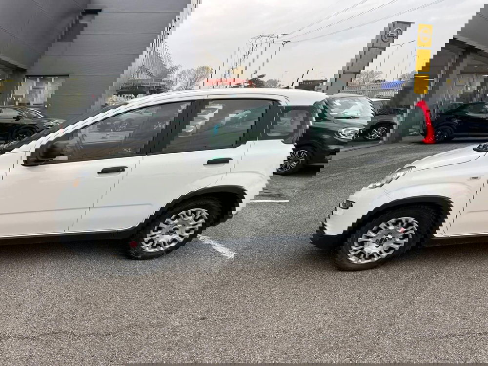 Fiat Panda Cross usata a Milano (4)