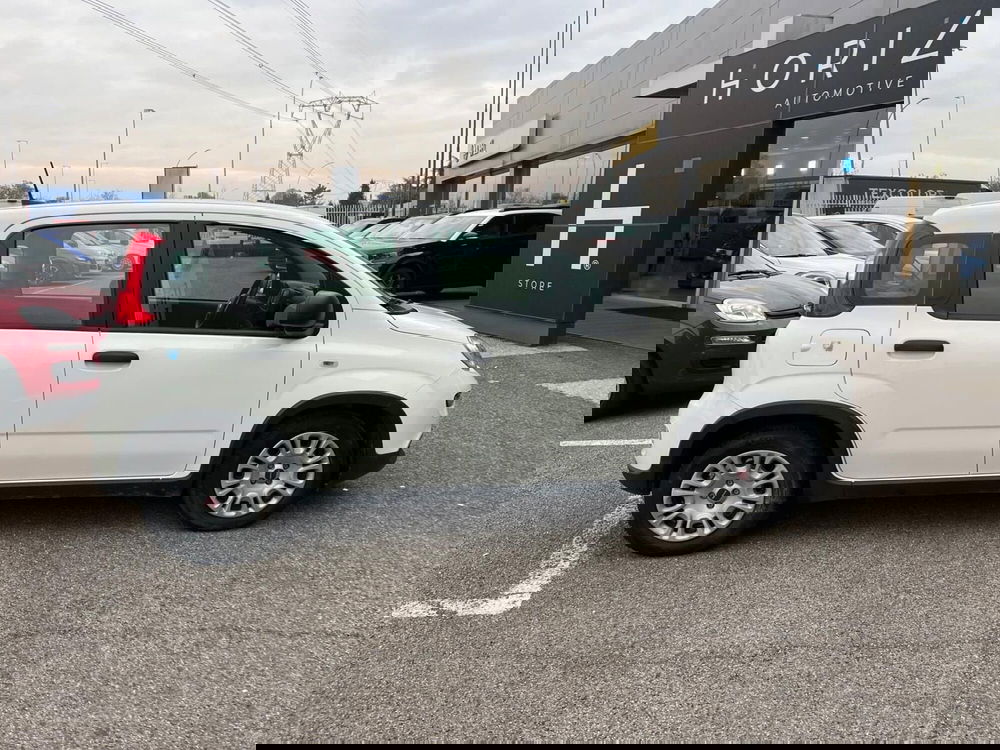 Fiat Panda Cross usata a Milano (5)