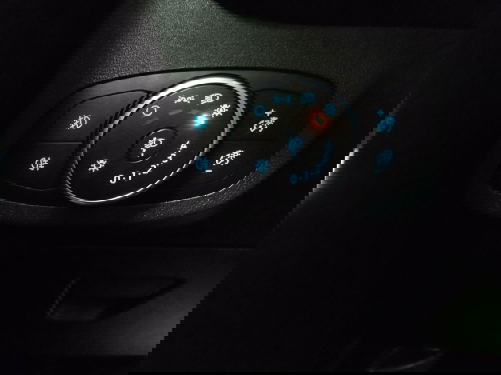 Ford Fiesta usata a Torino (14)