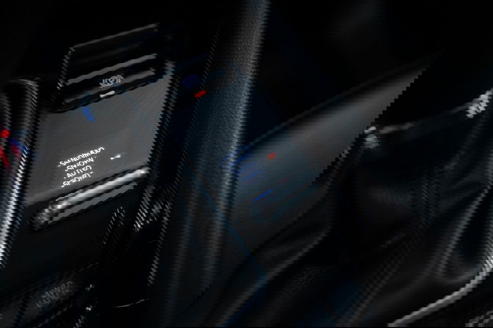 Jeep Compass usata a Torino (12)