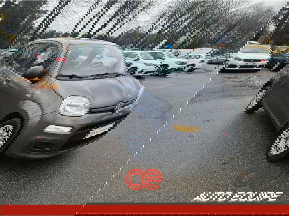 Fiat Panda usata a Firenze