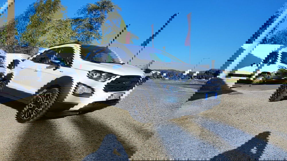 Ford EcoSport usata a Firenze (13)