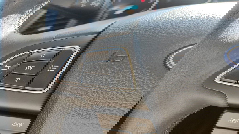 Ford EcoSport usata a Firenze (16)