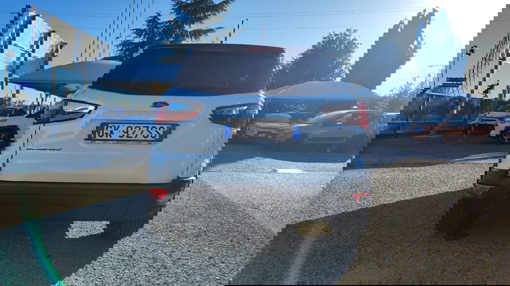 Ford EcoSport usata a Firenze (7)