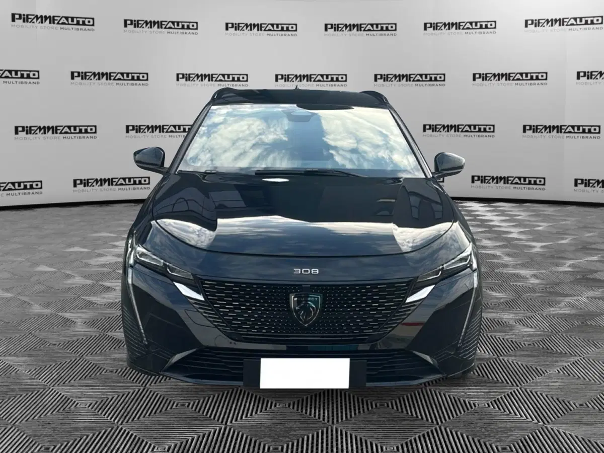Peugeot 308 SW usata a Piacenza (8)