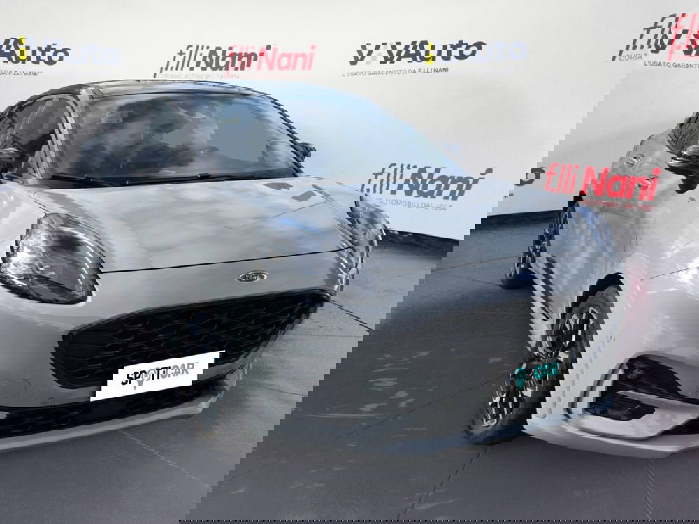 Ford Puma usata a Massa-Carrara (17)