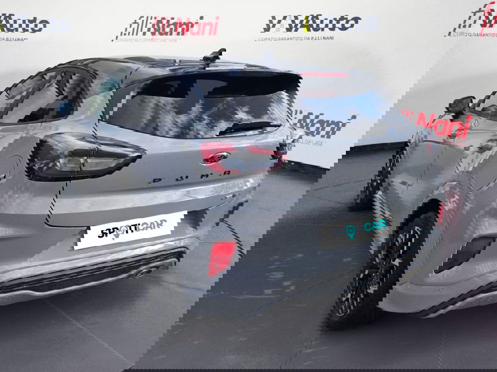 Ford Puma usata a Massa-Carrara (18)