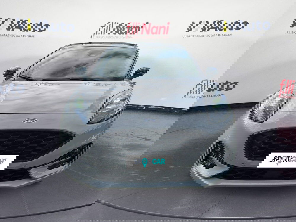 Ford Puma usata a Massa-Carrara (3)