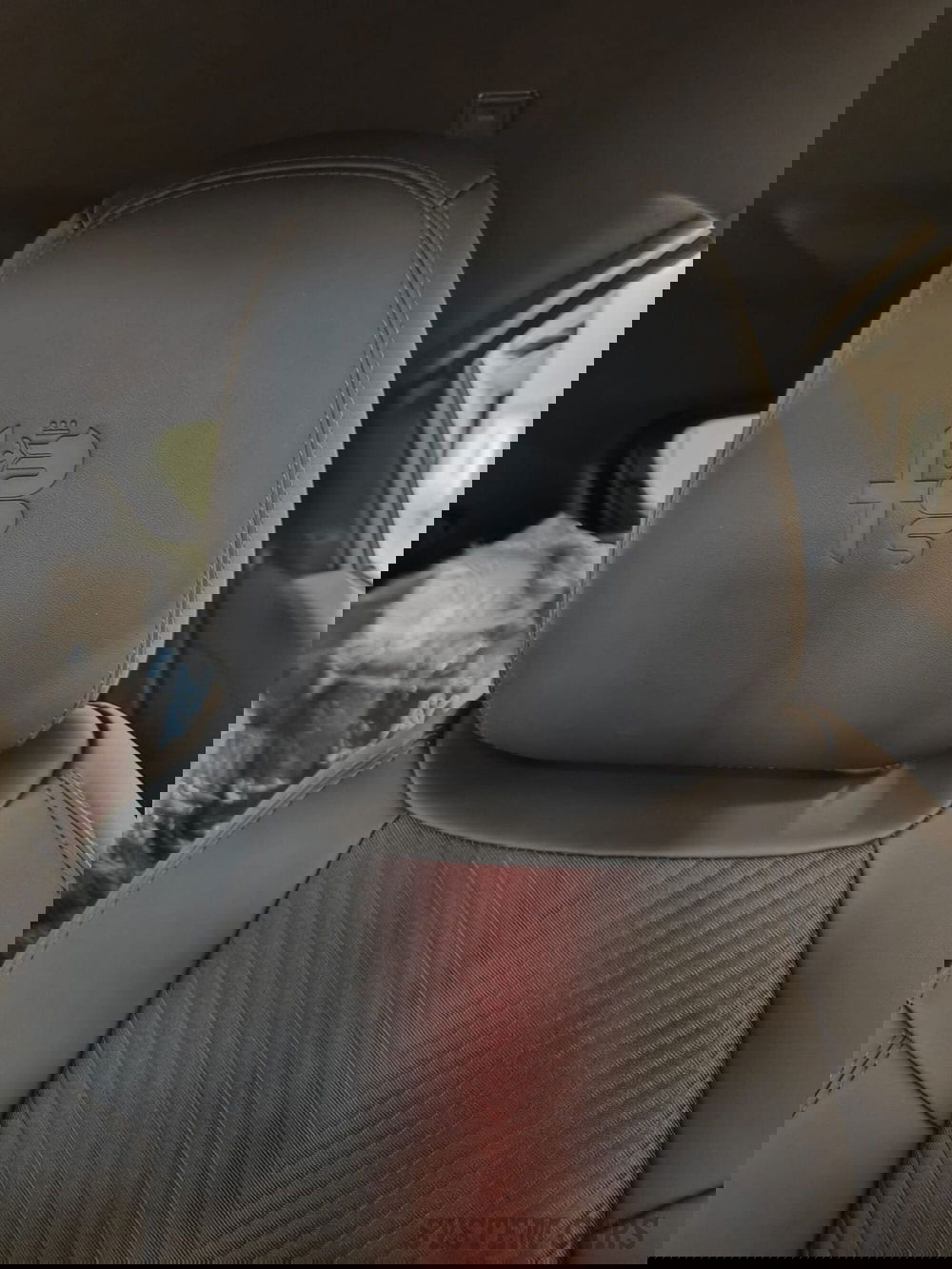 Alfa Romeo Junior nuova a Varese (14)