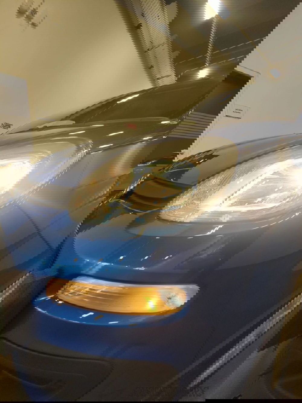 Fiat Panda Cross nuova a Varese (11)