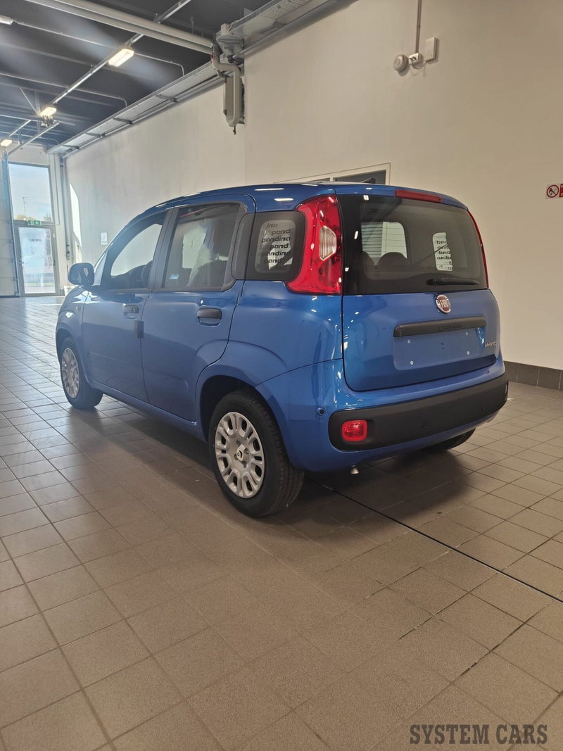 Fiat Panda Cross nuova a Varese (2)