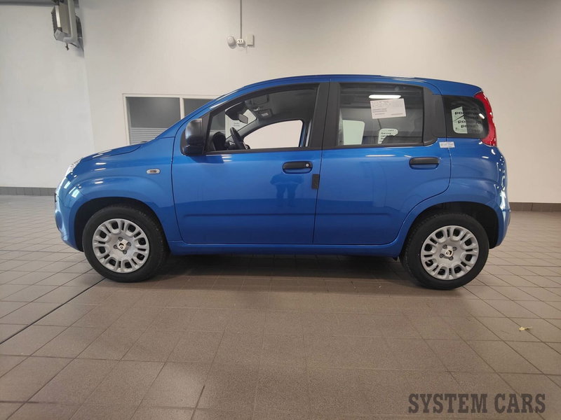 Fiat Panda Cross nuova a Varese (3)