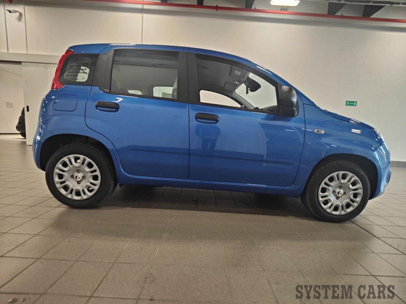 Fiat Panda Cross nuova a Varese (4)