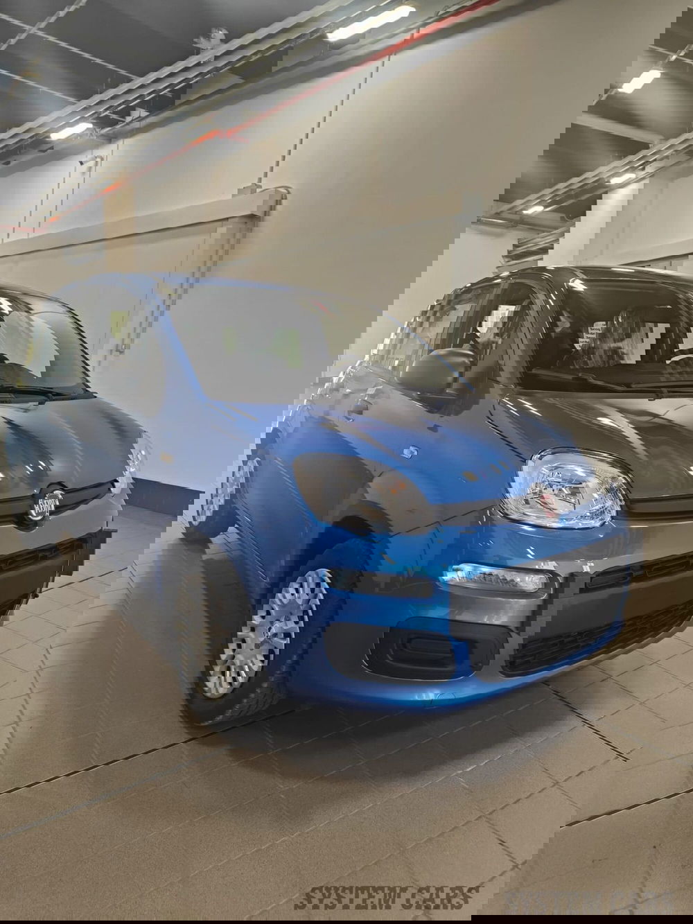 Fiat Panda Cross nuova a Varese (6)