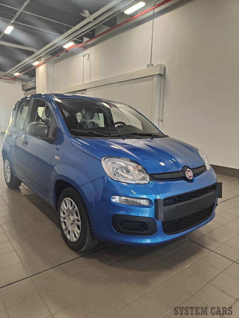 Fiat Panda Cross nuova a Varese (6)