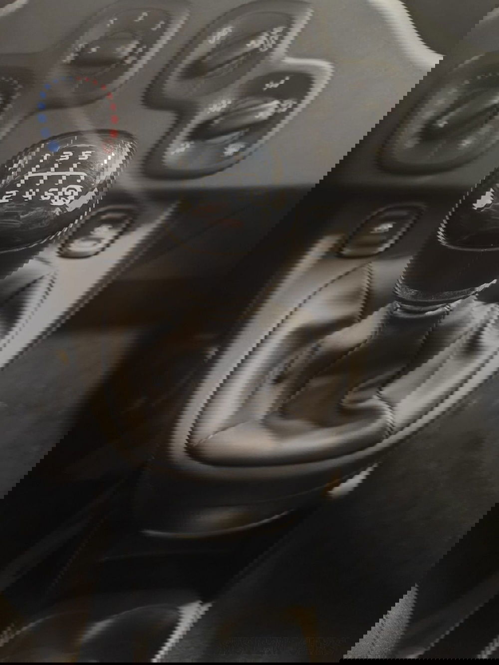 Fiat Panda Cross nuova a Varese (8)