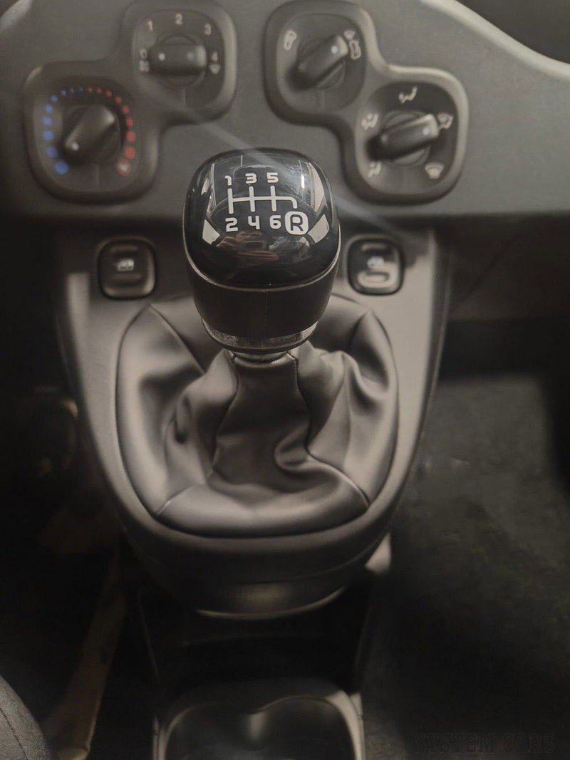 Fiat Panda Cross nuova a Varese (8)