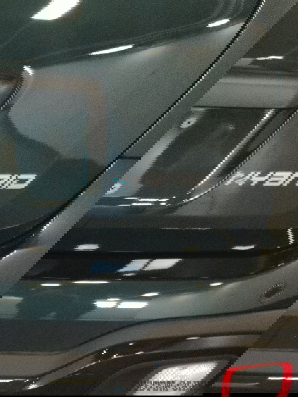 Fiat Panda Cross nuova a Varese (14)