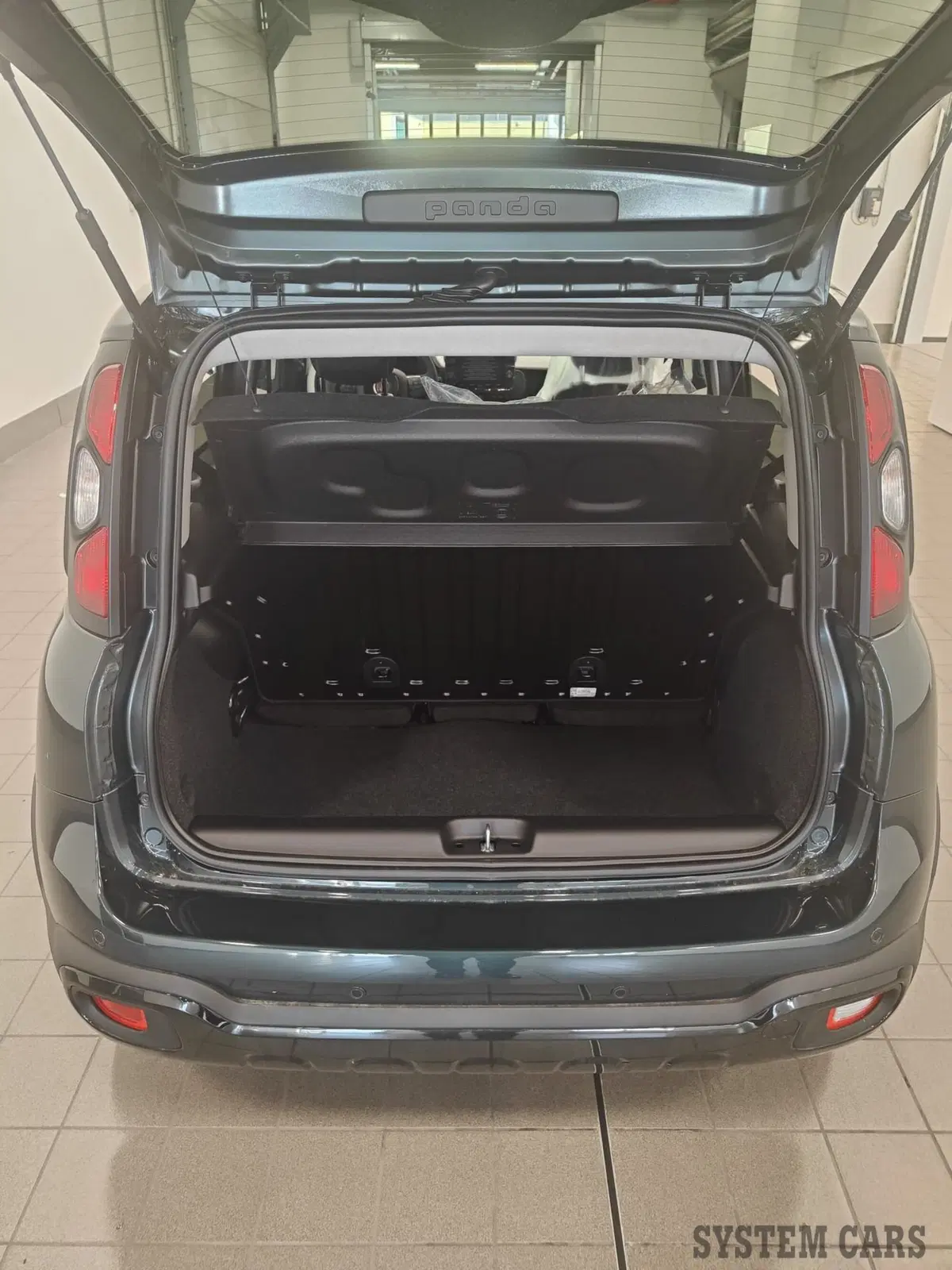 Fiat Panda Cross nuova a Varese (16)