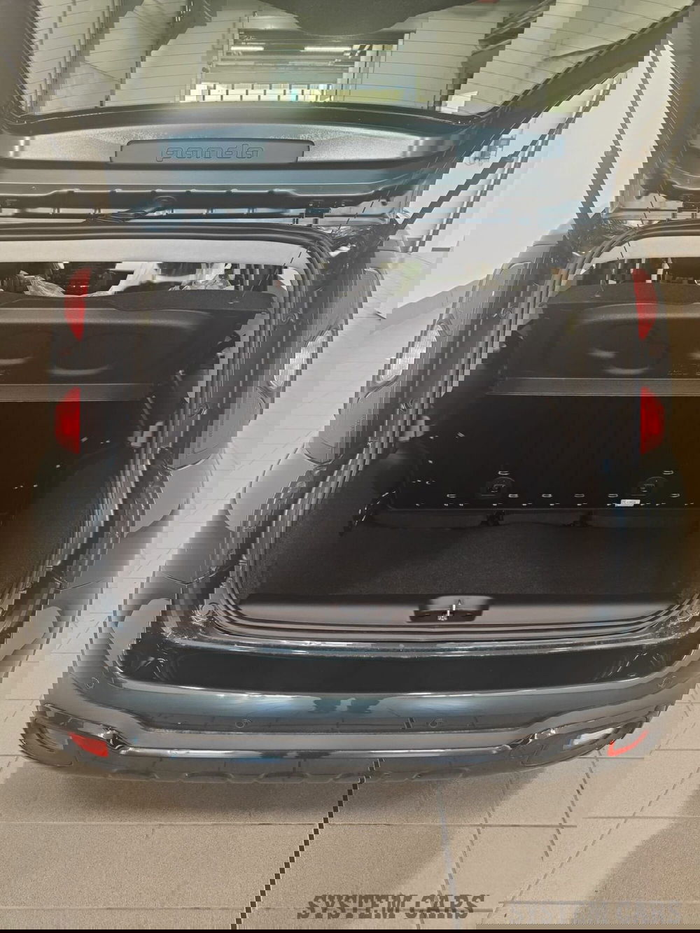 Fiat Panda Cross nuova a Varese (16)