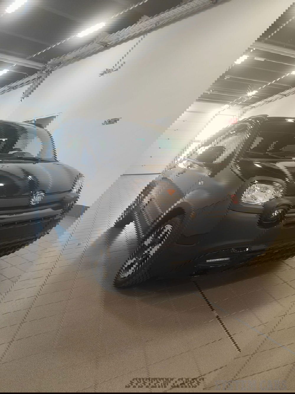 Fiat Panda Cross nuova a Varese (2)