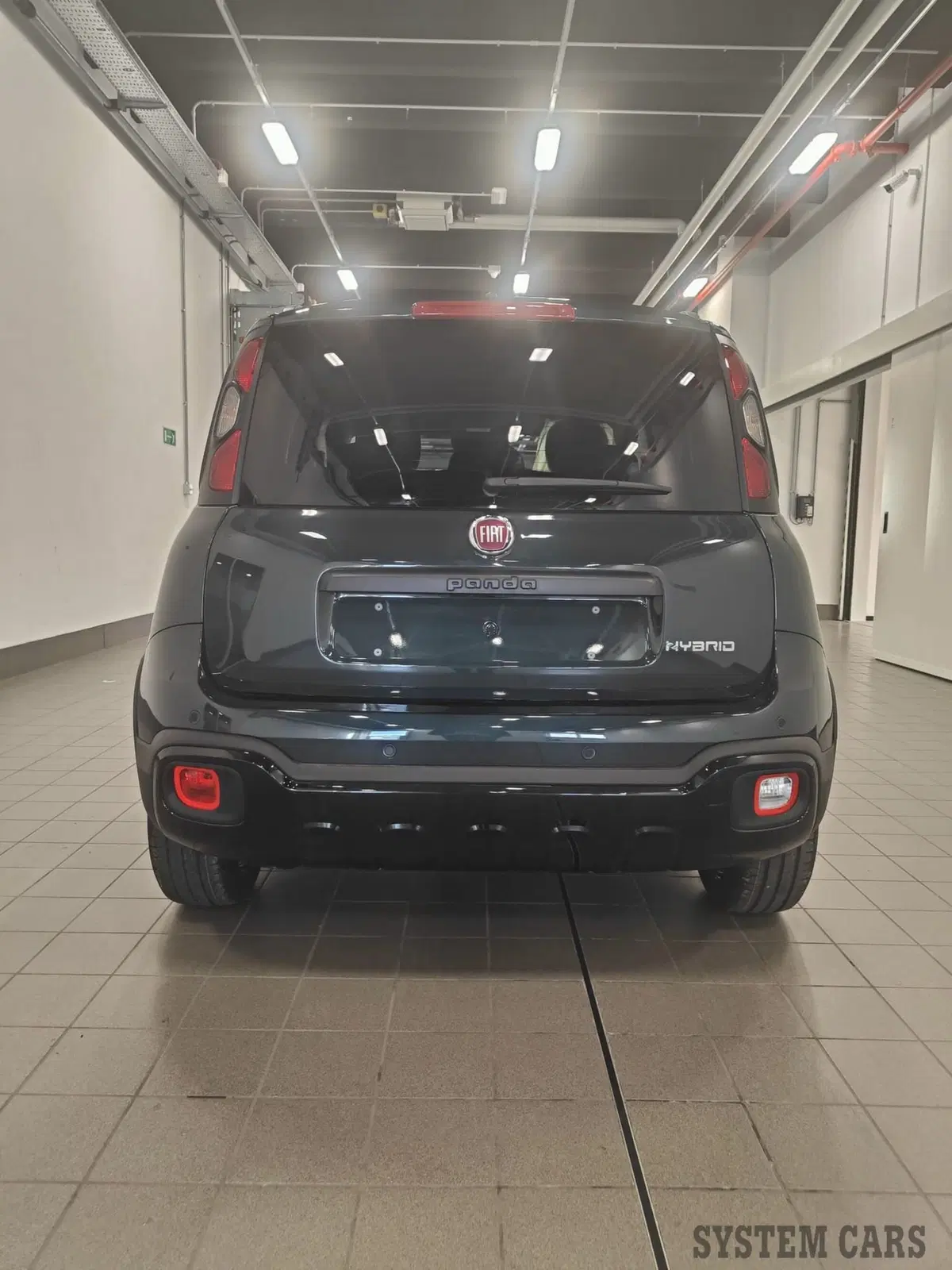 Fiat Panda Cross nuova a Varese (4)
