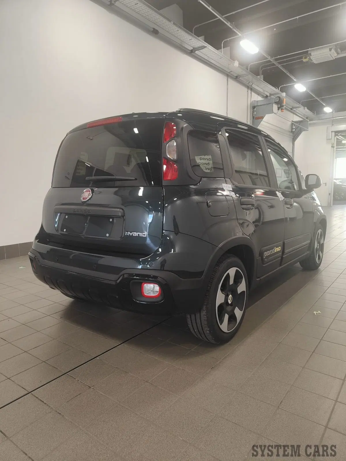 Fiat Panda Cross nuova a Varese (6)