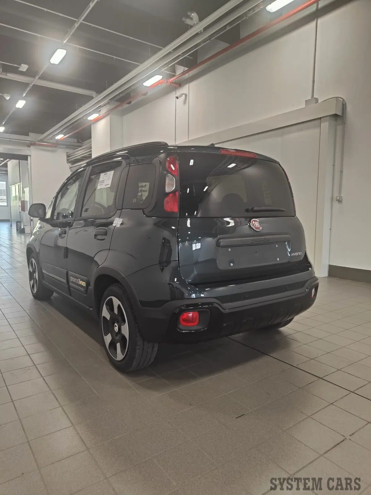 Fiat Panda Cross nuova a Varese (7)