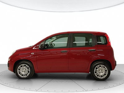 Fiat Panda 1.0 firefly hybrid s&amp;s 70cv 5p.ti nuova a L&#039;Aquila