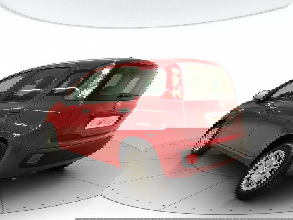 Fiat Panda nuova a L'Aquila (2)