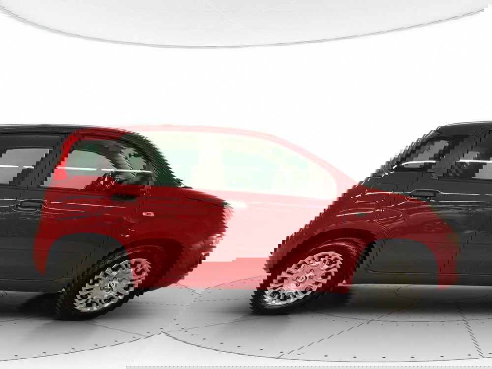 Fiat Panda nuova a L'Aquila (3)