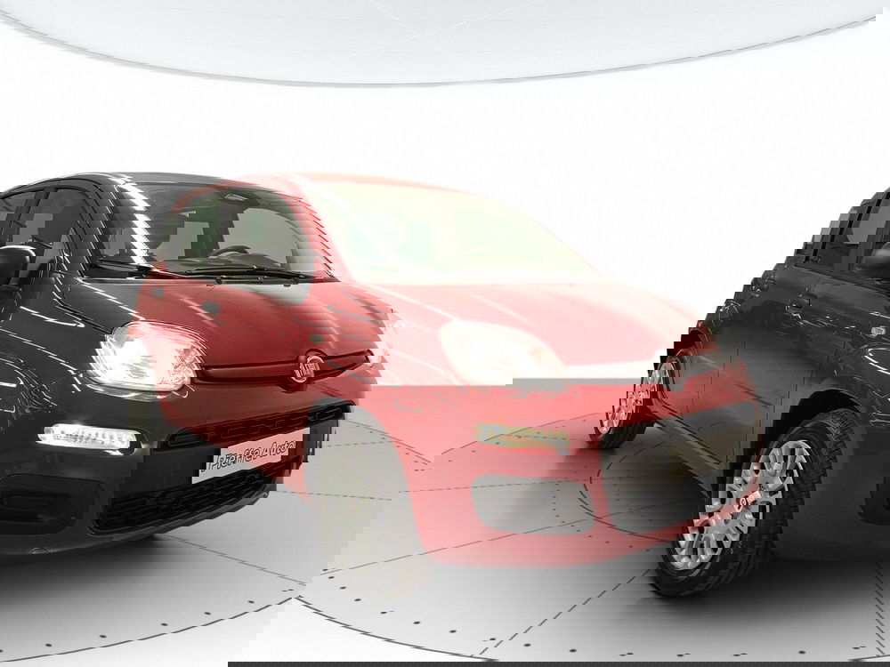 Fiat Panda nuova a L'Aquila (4)