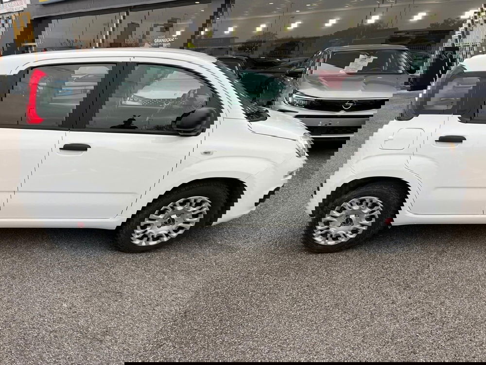 Fiat Panda Cross usata a Milano (5)