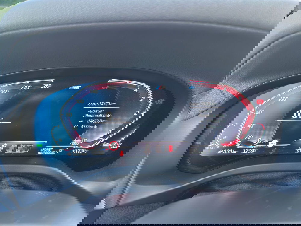 BMW X4 usata a Cosenza (11)